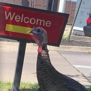 Meet your Posher, Aaron